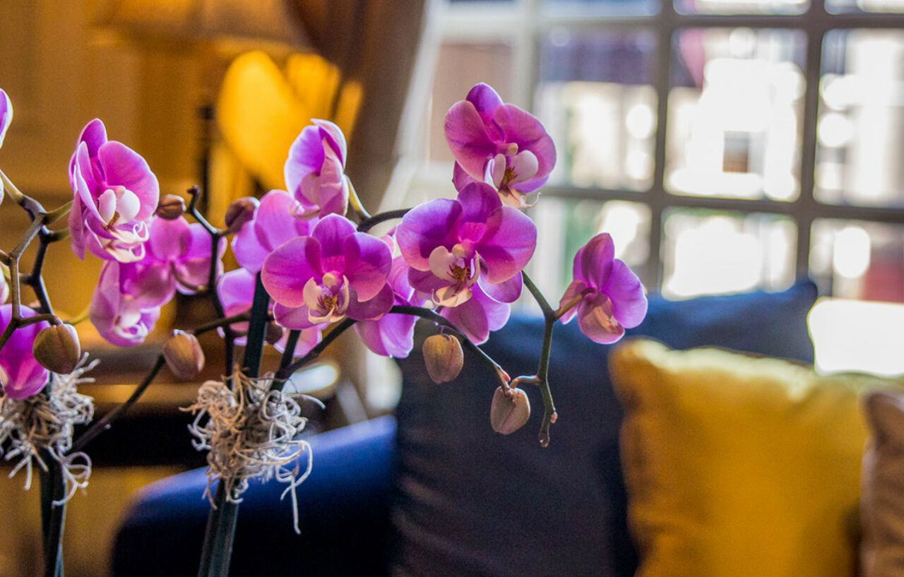 Warwick Melrose Hotel Dallas Buitenkant foto